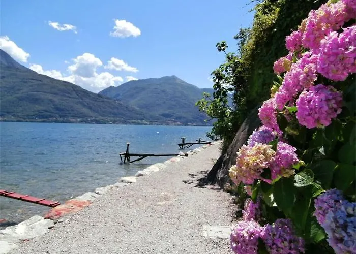 Nido Riva - Falco *