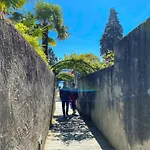 Nido Riva - Falco